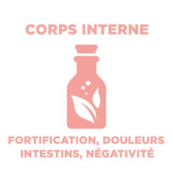 CORPS INTERNE INTESTINS